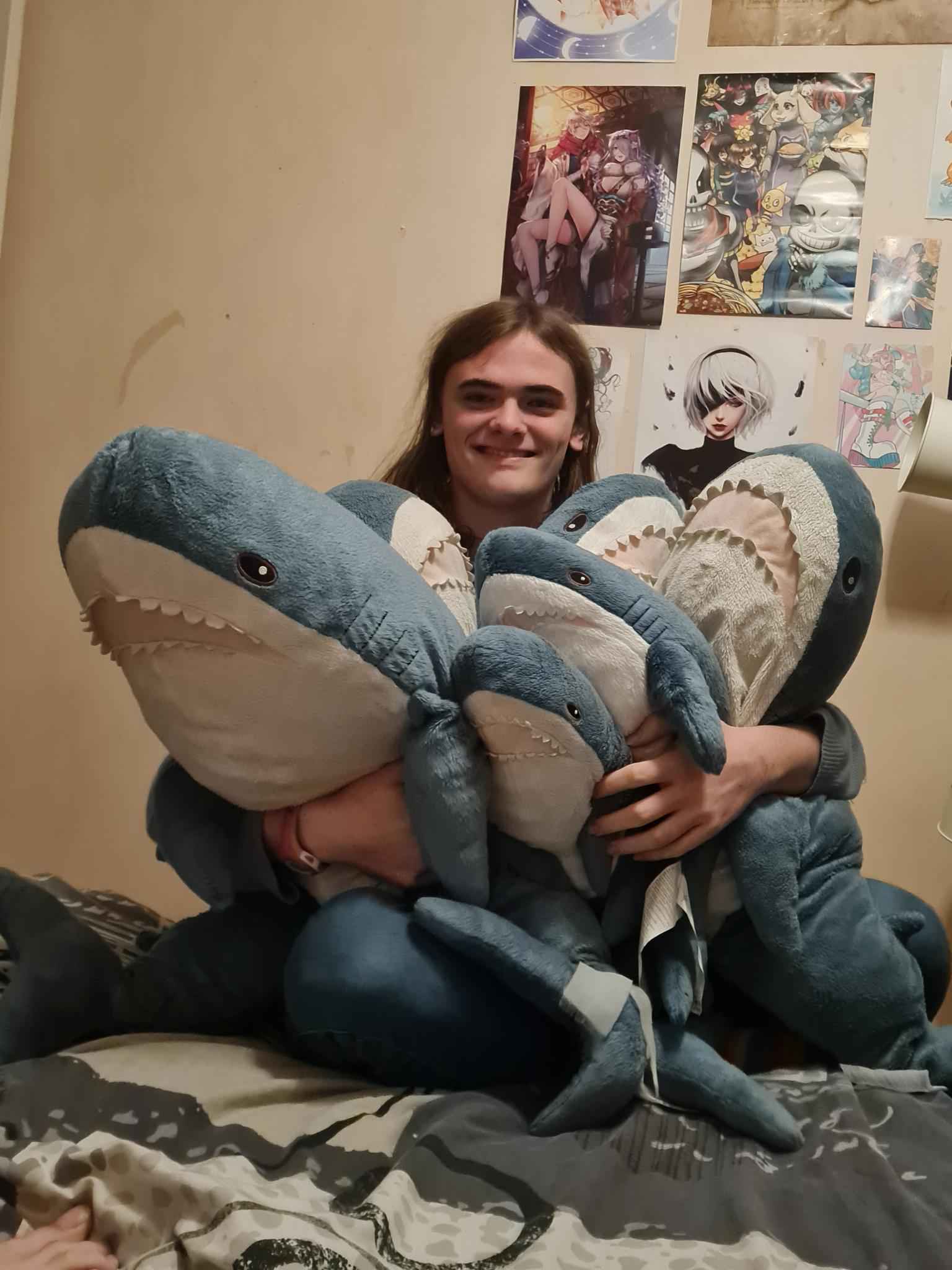 A girl (me!) with many blahajs